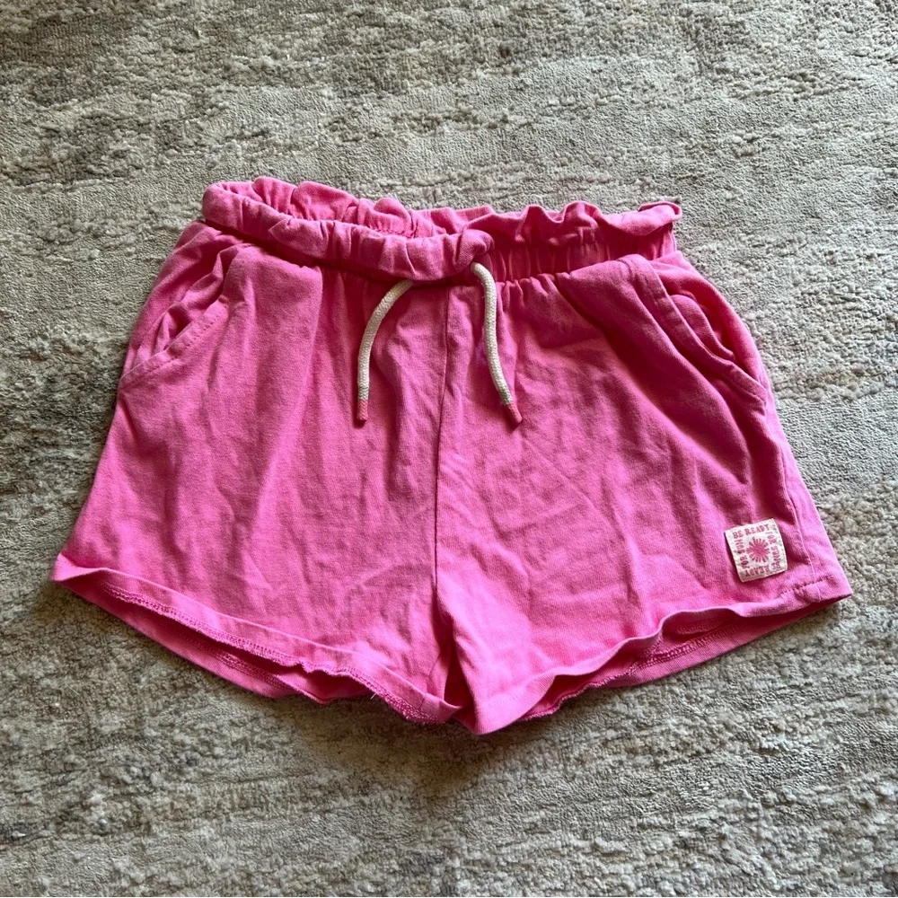 Zara Shorts NWOT 10